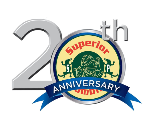 20th year logo